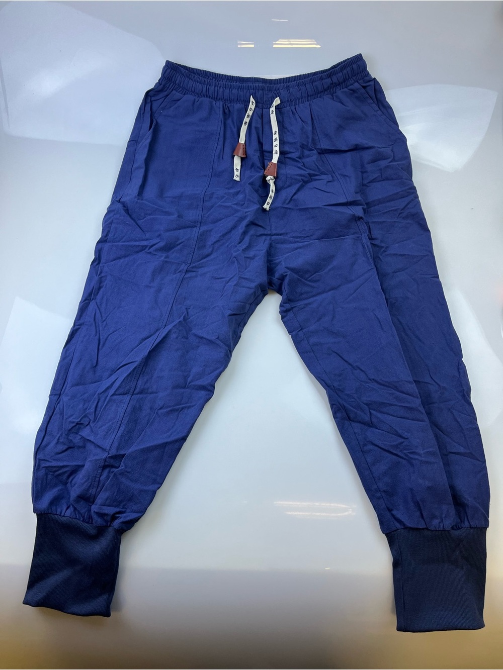Seidarise Blue Jogger Pants N257-16